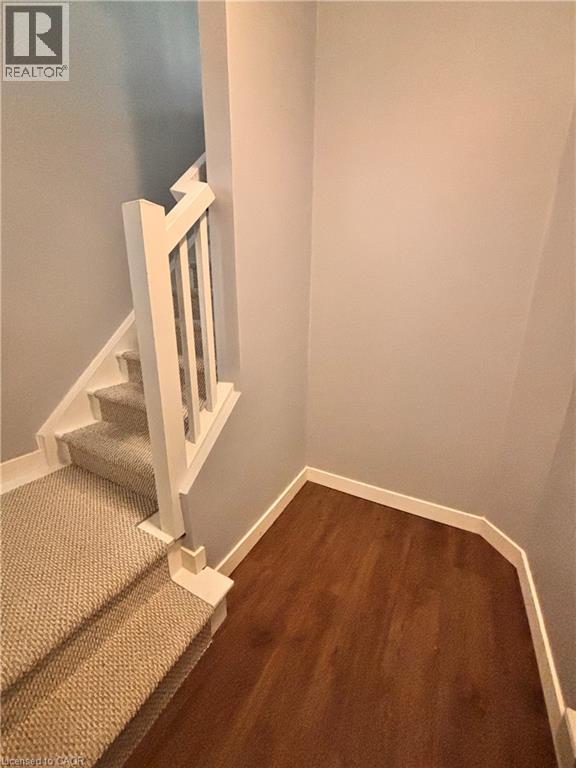 Staircase featuring a white wood railing and carpeted treads, complemented by wood-finish flooring and white baseboards