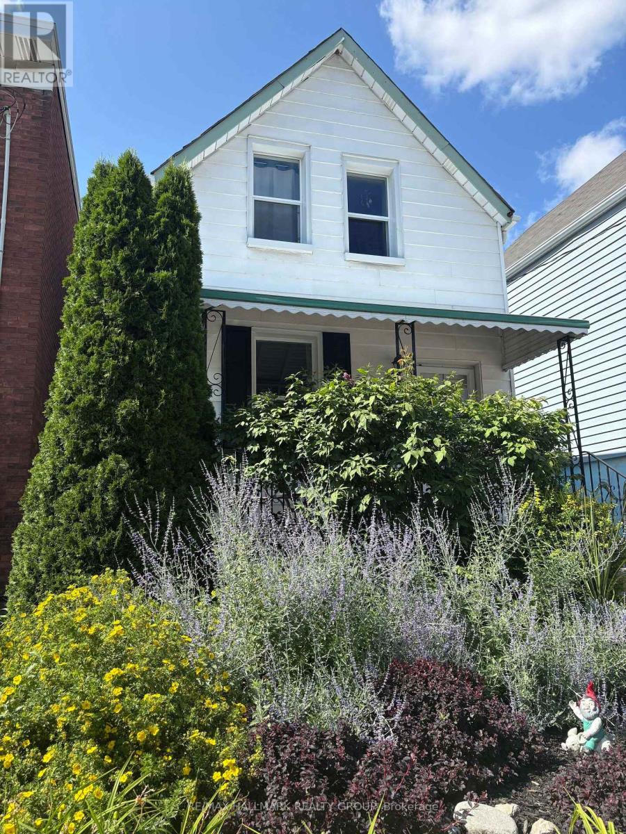 53 LOUISA STREET - 3