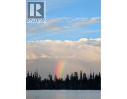 Cabin 4 Hatheume Lake Road, Peachland, BC V1V1V1 Photo 50