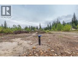 4103 Balsam Way, Malakwa, BC V0E2J0 Photo 10