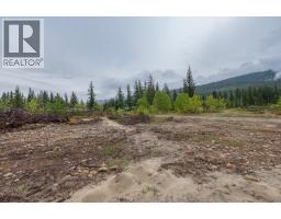 4103 Balsam Way, Malakwa, BC V0E2J0 Photo 11