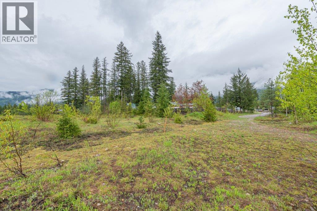  4103 Balsam Way, Malakwa