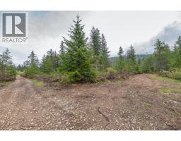 4103 Balsam Way, Malakwa, BC V0E2J0 Photo 15