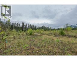 4103 Balsam Way, Malakwa, BC V0E2J0 Photo 6