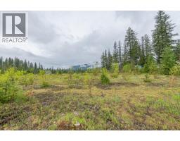 4103 Balsam Way, Malakwa, BC V0E2J0 Photo 7