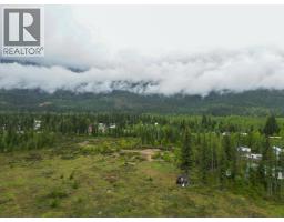 4103 Balsam Way, Malakwa, BC V0E2J0 Photo 23