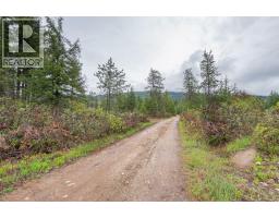 4103 Balsam Way, Malakwa, BC V0E2J0 Photo 14