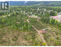 4103 Balsam Way, Malakwa, BC V0E2J0 Photo 29