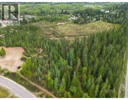 4103 Balsam Way, Malakwa, BC V0E2J0 Photo 39