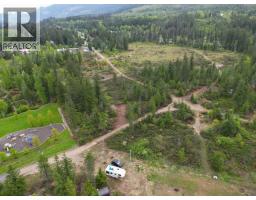 4103 Balsam Way, Malakwa, BC V0E2J0 Photo 51