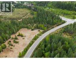 4103 Balsam Way, Malakwa, BC V0E2J0 Photo 38