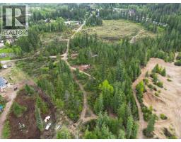 4103 Balsam Way, Malakwa, BC V0E2J0 Photo 53