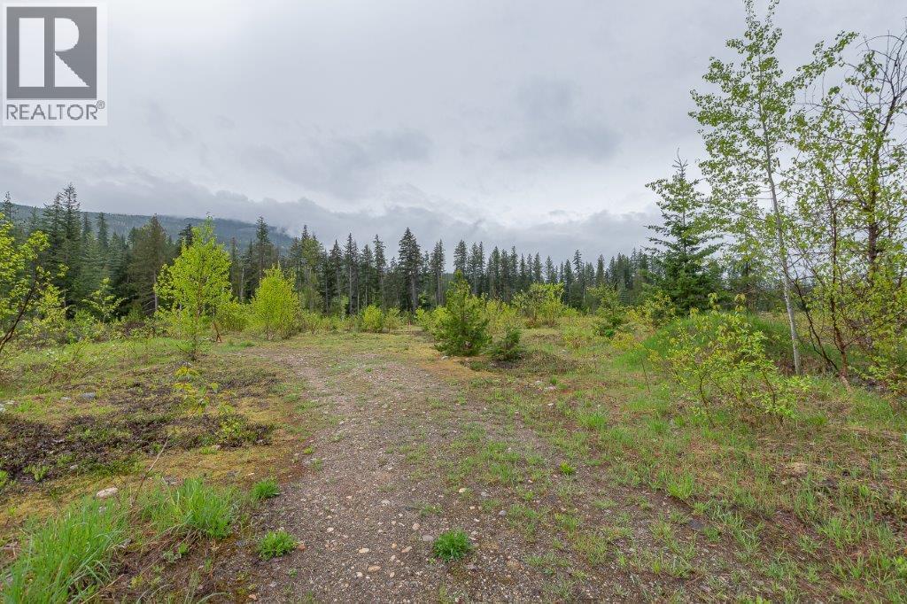  4103 Balsam Way, Malakwa