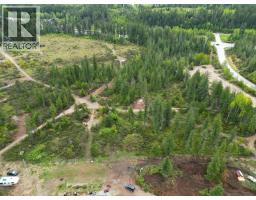 4103 Balsam Way, Malakwa, BC V0E2J0 Photo 34