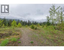 4103 Balsam Way, Malakwa, BC V0E2J0 Photo 55