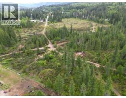 4103 Balsam Way, Malakwa, BC V0E2J0 Photo 52