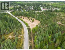 4103 Balsam Way, Malakwa, BC V0E2J0 Photo 40