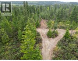 4103 Balsam Way, Malakwa, BC V0E2J0 Photo 49