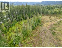 4103 Balsam Way, Malakwa, BC V0E2J0 Photo 26