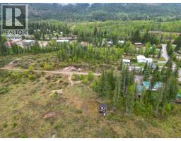 4103 Balsam Way, Malakwa, BC V0E2J0 Photo 27