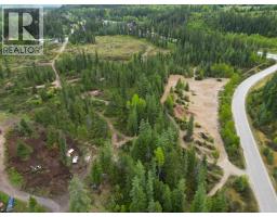 4103 Balsam Way, Malakwa, BC V0E2J0 Photo 36