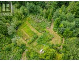 481 Olmstead Rd, Cortes Island, BC V0P1Z0 Photo 65