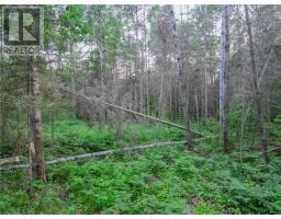 382 Old Webbwood Road Unit# Lot 1, Webbwood, ON P0P2G0 Photo 10