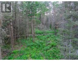 382 Old Webbwood Road Unit# Lot 1, Webbwood, ON P0P2G0 Photo 11