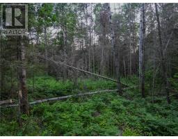 382 Old Webbwood Road Unit# Lot 1, Webbwood, ON P0P2G0 Photo 12