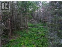 382 Old Webbwood Road Unit# Lot 1, Webbwood, ON P0P2G0 Photo 13