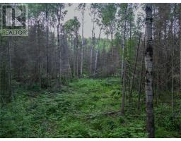 382 Old Webbwood Road Unit# Lot 1, Webbwood, ON P0P2G0 Photo 6