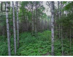 382 Old Webbwood Road Unit# Lot 1, Webbwood, ON P0P2G0 Photo 7