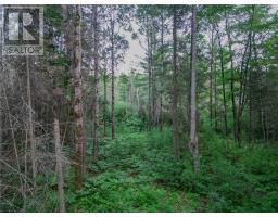 382 Old Webbwood Road Unit# Lot 1, Webbwood, ON P0P2G0 Photo 8