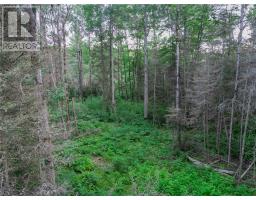 382 Old Webbwood Road Unit# Lot 1, Webbwood, ON P0P2G0 Photo 9