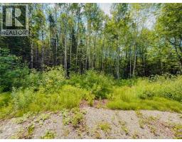 5 Beech Street, Beardsley, NB E7M4G6 Photo 23
