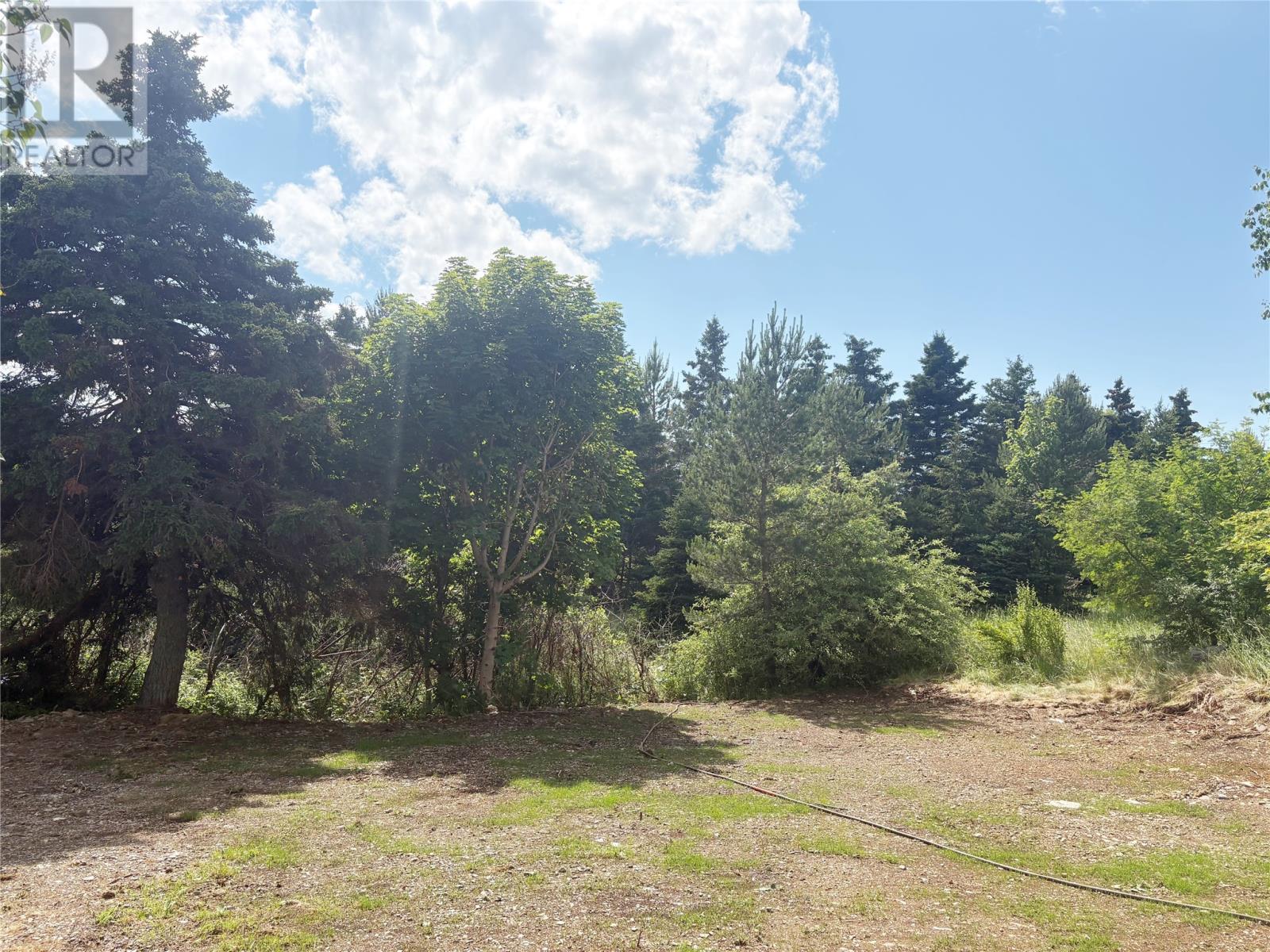 145 Conception Bay Highway - Image 7