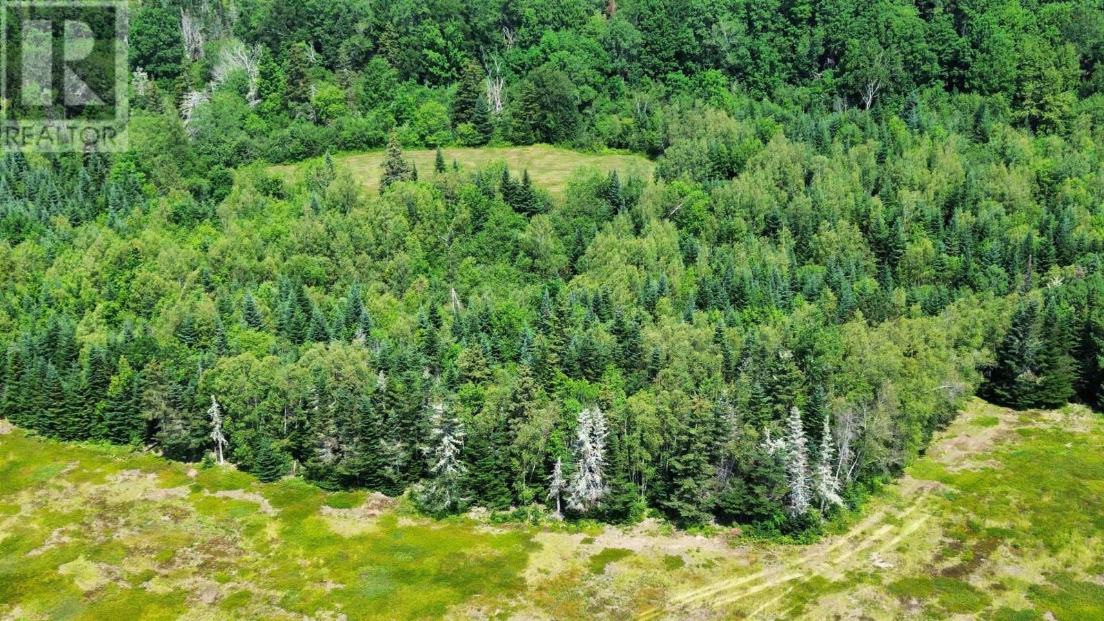 Property 38 of 42 of Lot 1AB Wentworth Collingwood Road
