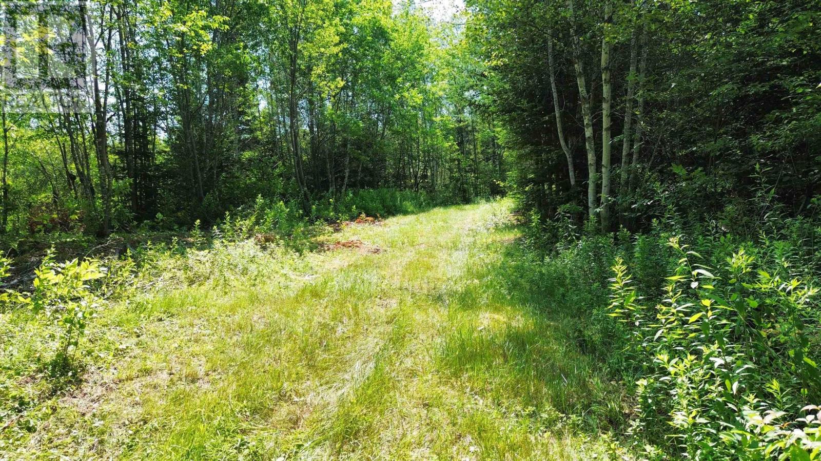 Property 39 of 42 of Lot 1AB Wentworth Collingwood Road