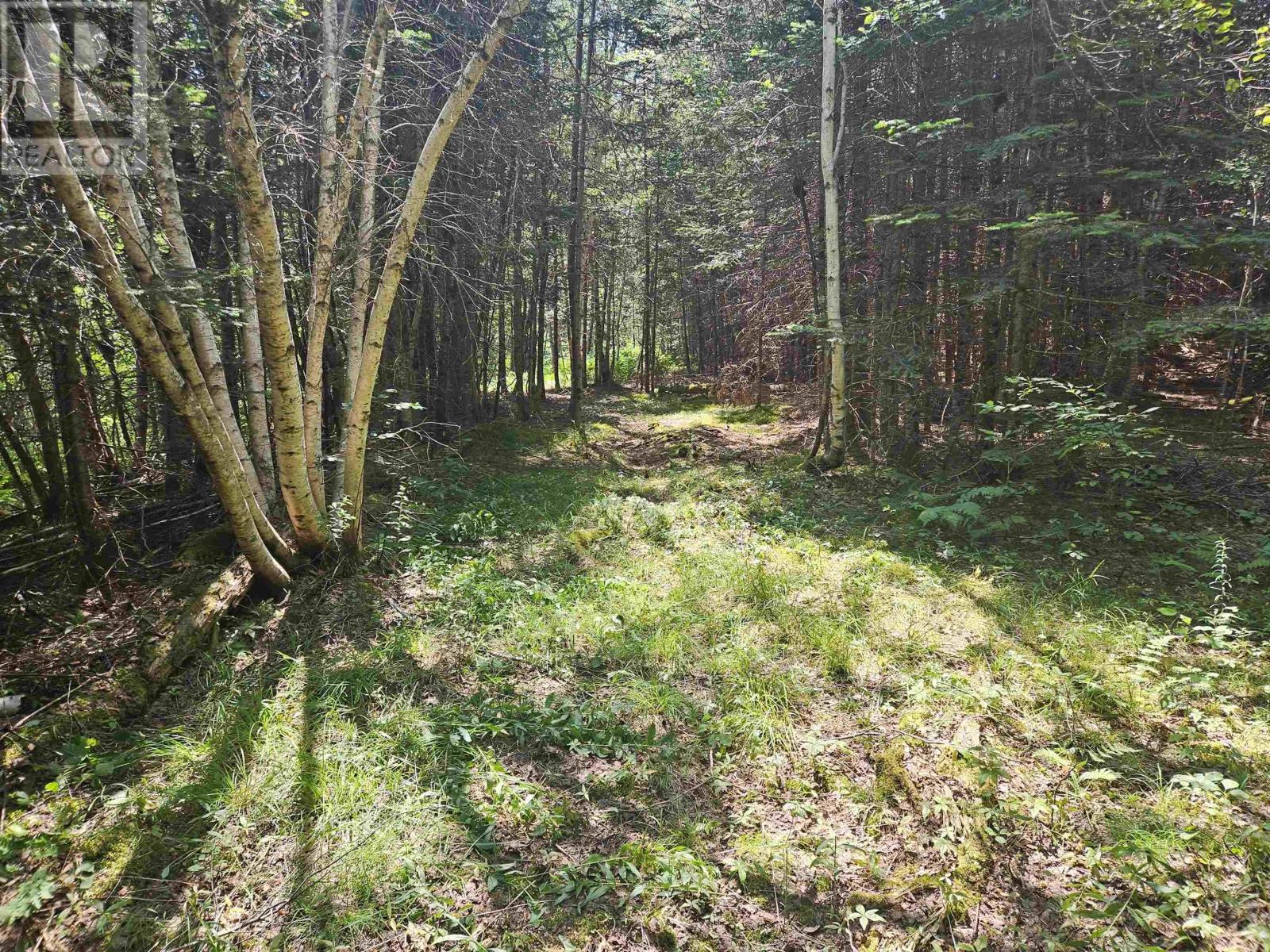 Property 40 of 42 of Lot 1AB Wentworth Collingwood Road