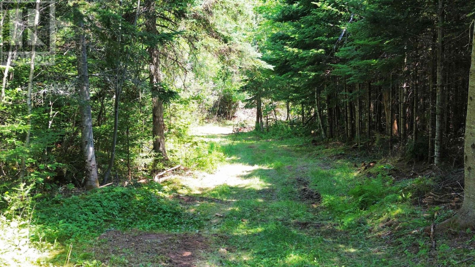 Property 41 of 42 of Lot 1AB Wentworth Collingwood Road