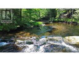 Lot 1ab Wentworth Collingwood Road, Williamsdale, NS B0M1E0 Photo 16