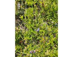 Lot 1ab Wentworth Collingwood Road, Williamsdale, NS B0M1E0 Photo 18