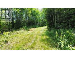 Lot 1ab Wentworth Collingwood Road, Williamsdale, NS B0M1E0 Photo 40