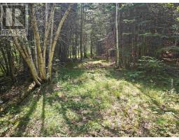 Lot 1ab Wentworth Collingwood Road, Williamsdale, NS B0M1E0 Photo 41