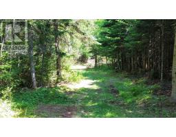 Lot 1ab Wentworth Collingwood Road, Williamsdale, NS B0M1E0 Photo 42