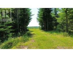 Lot 1ab Wentworth Collingwood Road, Williamsdale, NS B0M1E0 Photo 43