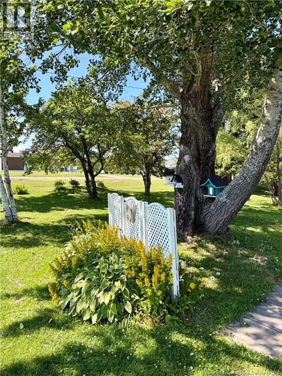 59 rue de l'Anse - Image 31