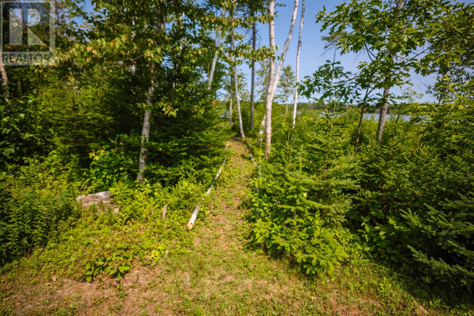 316 Delodder Road - 16