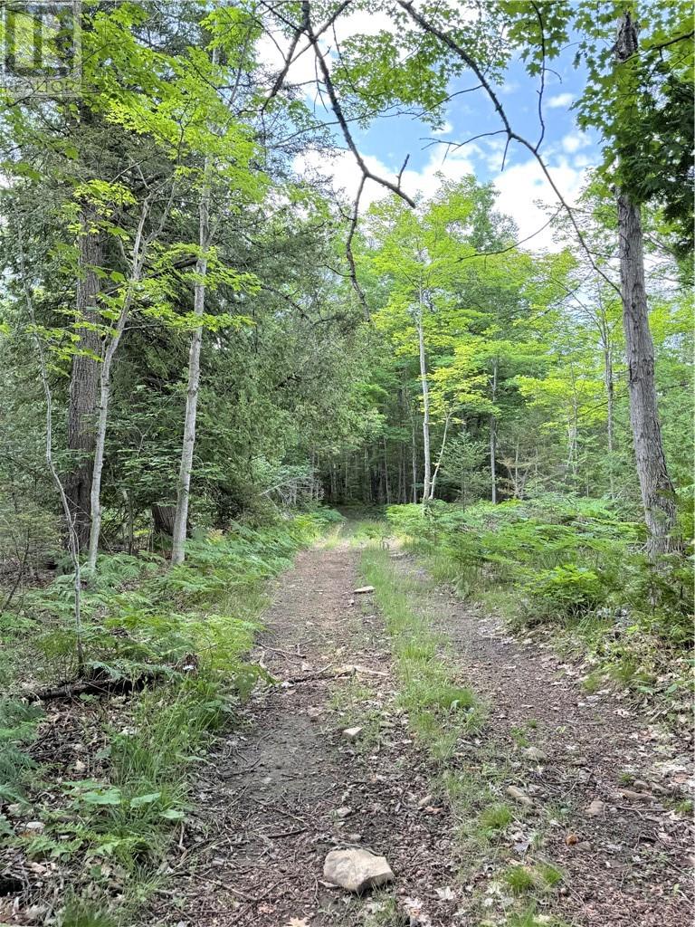 90 Clarke Rd - 38