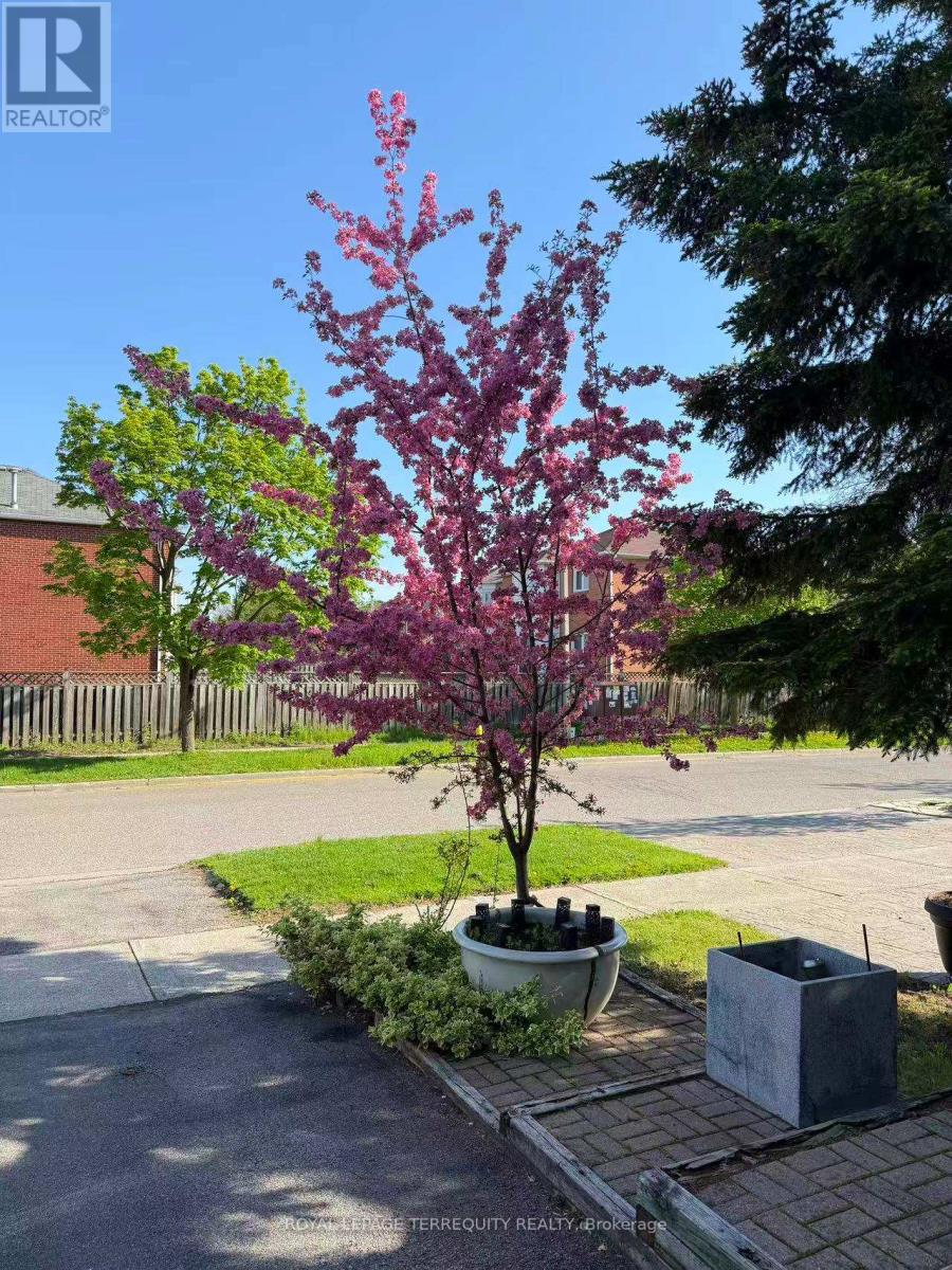 304 CHARLTON AVENUE - 19